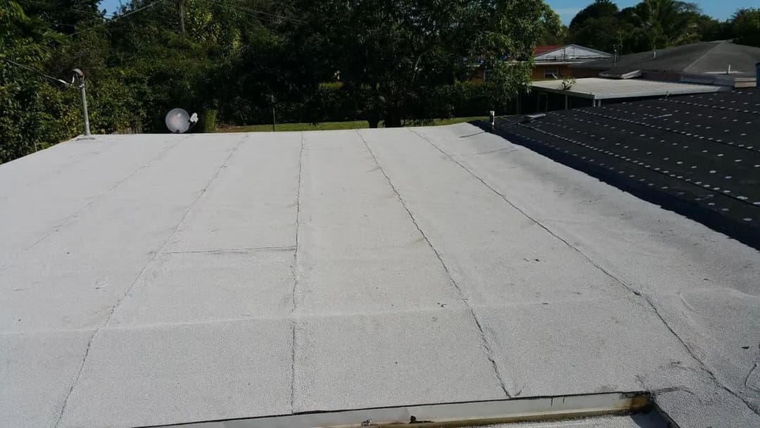 Flat roof showing texture and neighboring houses, surrounded by greenery and trees.