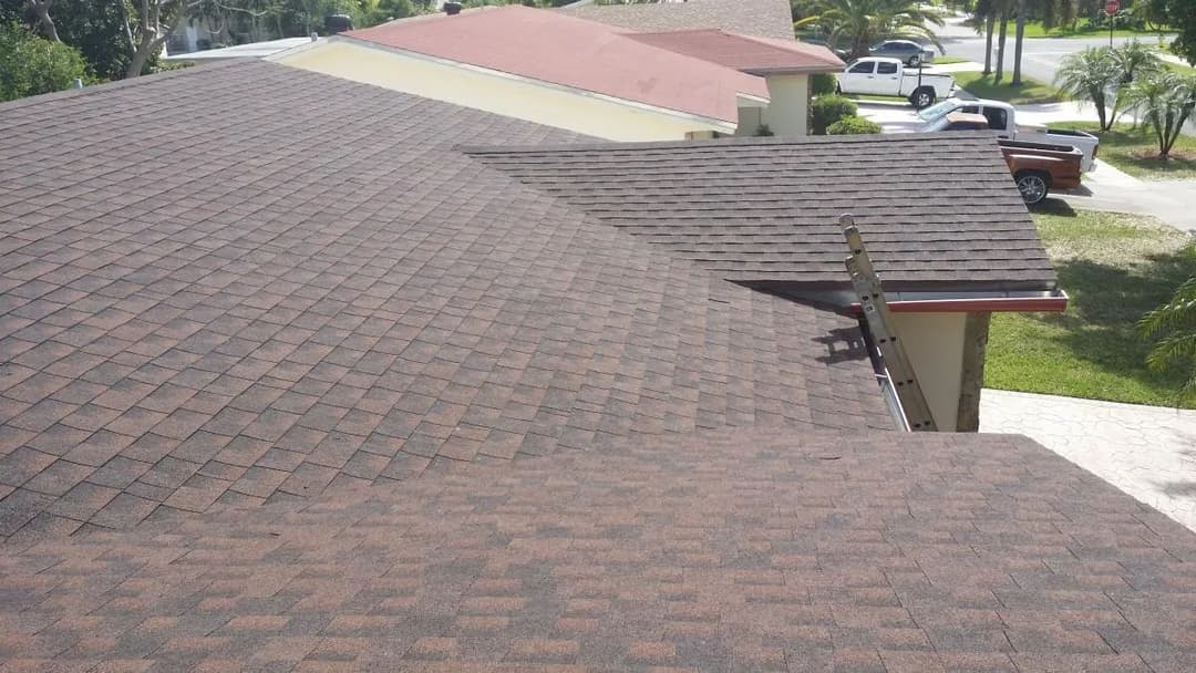 Overview of asphalt shingle roofs on homes, showcasing roof structure and nearby landscaping.