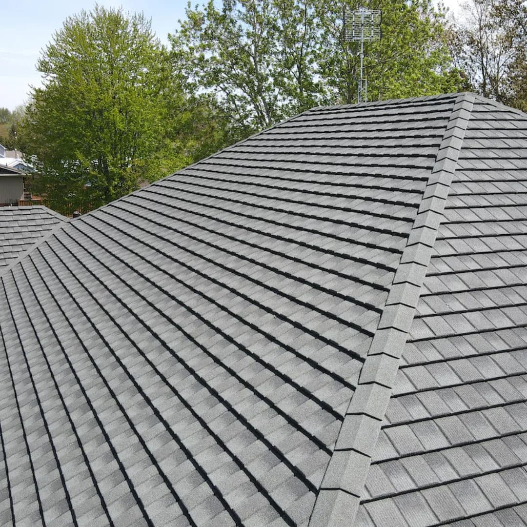 Modern gray shingle roof with a pitched design and surrounding greenery.